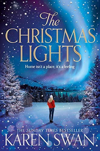 The Christmas Lights book cover
