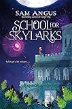School for Skylarks