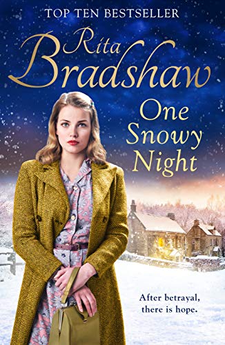 One Snowy Night book cover