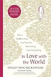 In Love With The World What A Buddhist Monk Can Teach You About Living From Nearly Dying