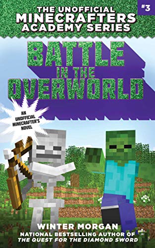 Battle in the Overworld book cover
