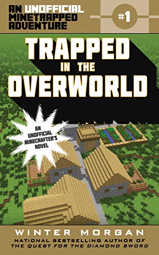 Trapped in the Overworld book cover