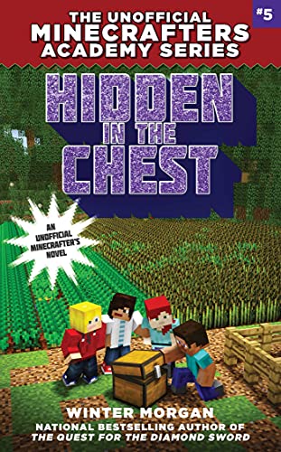 Cover of Hidden in the chest