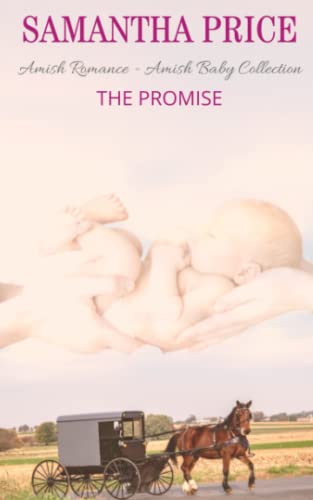 The Promise book cover