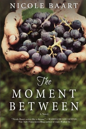 The Moment Between book cover