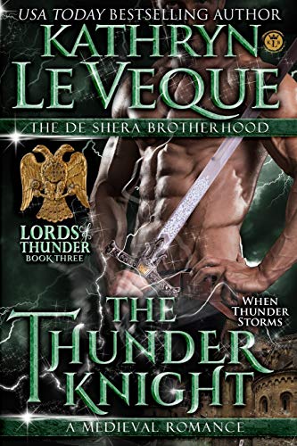 The Thunder Knight book cover
