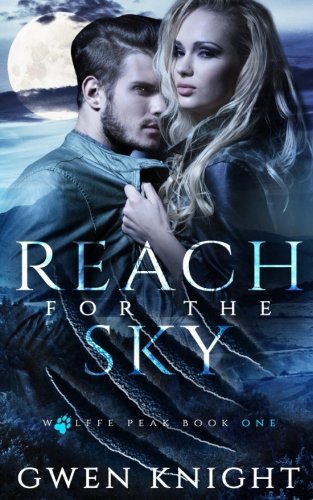 Reach for the Sky book cover