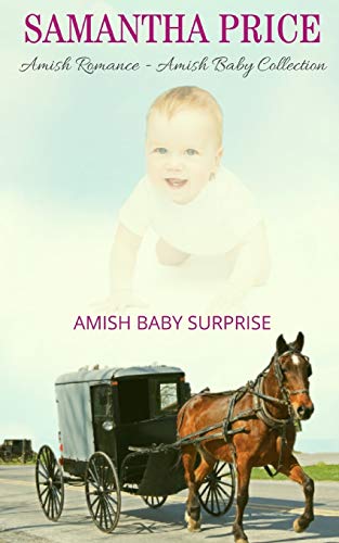 Amish Baby Surprise book cover