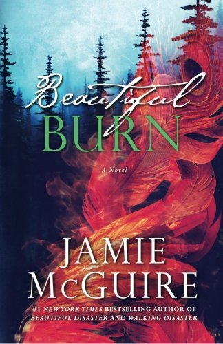 Beautiful Burn book cover