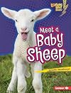 Meet a Baby Sheep (Lightning Bolt Books: Baby Farm Animals)