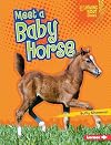 Meet a Baby Horse (Lightning Bolt Books: Baby Farm Animals)