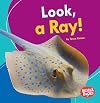Look, a Ray!