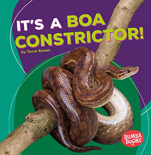 Cover of It's a Boa Constrictor!