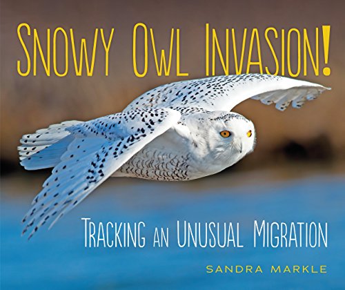 Cover of Snowy owl invasion!