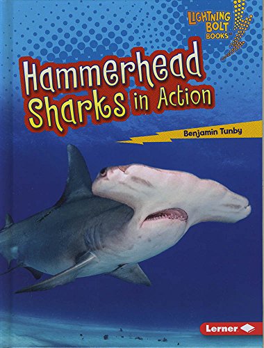 Cover of Hammerhead Sharks in Action
