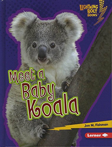 Cover of Meet a baby koala