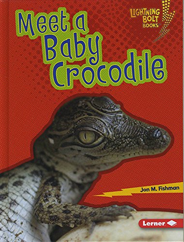 Cover of Meet a Baby Crocodile