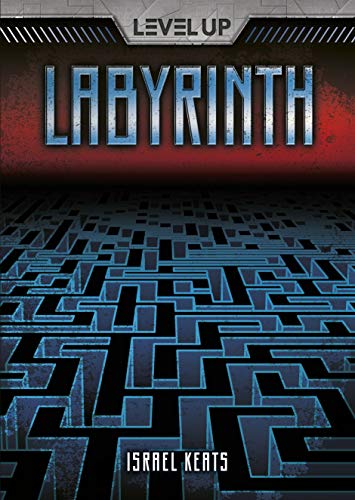 Cover of Labyrinth