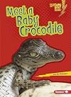 Meet a baby crocodile