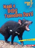 Meet A Baby Tasmanian Devil Lightning Bolt Books Baby Australian Animals