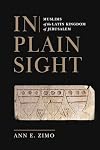 In Plain Sight: Muslims of the Latin Kingdom of Jerusalem (The Middle Ages Series)