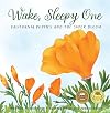Wake, Sleepy One: California Poppies and the Super Bloom