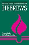 Hebrews (Believers Church Bible Commentary Series)