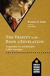The Trinity in the Book of Revelation: Seeing Father, Son, and Holy Spirit in John's Apocalypse (Studies in Christian Doctrine and Scripture)