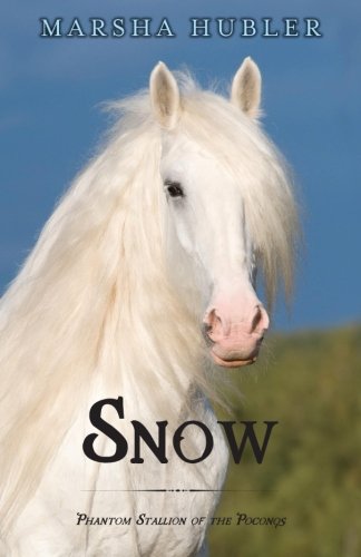 Snow book cover