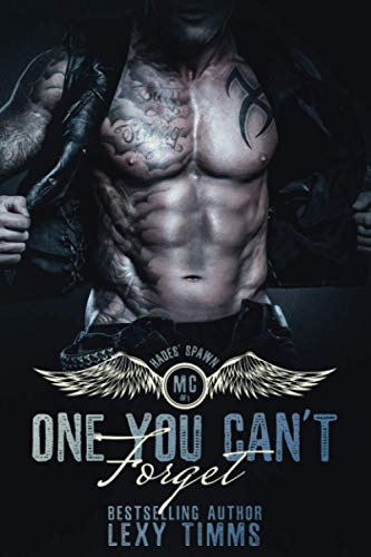One You Can't Forget book cover