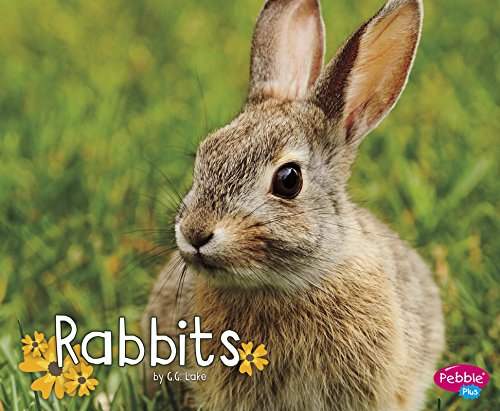 Cover of Rabbits