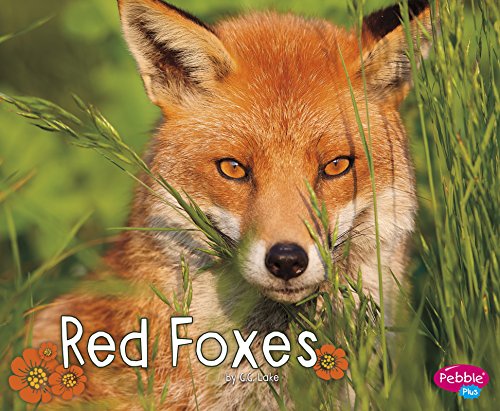 Cover of Red Foxes
