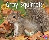 Gray Squirrels (Woodland Wildlife)