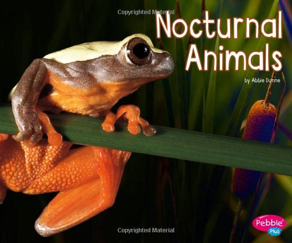 Cover of Nocturnal Animals
