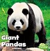 Giant Pandas (Little Pebble: Black and White Animals)