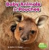 Baby Animals in Pouches (Little Pebble: Baby Animals and Their Homes)