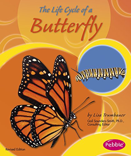 Cover of Life Cycle of a Butterfly