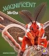 Magnificent Moths (Bugs Are Beautiful!)