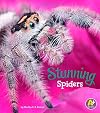 Stunning Spiders (Bugs Are Beautiful!)