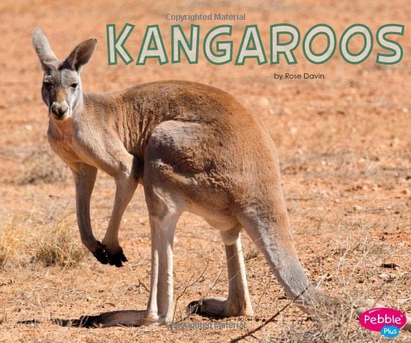 Cover of Kangaroos