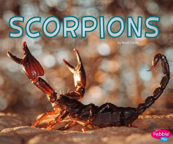 Cover of Scorpions