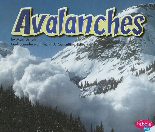 Cover of Avalanches