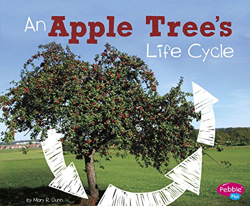 Cover of Apple Tree's Life Cycle