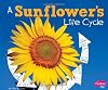A Sunflower's Life Cycle (Explore Life Cycles)