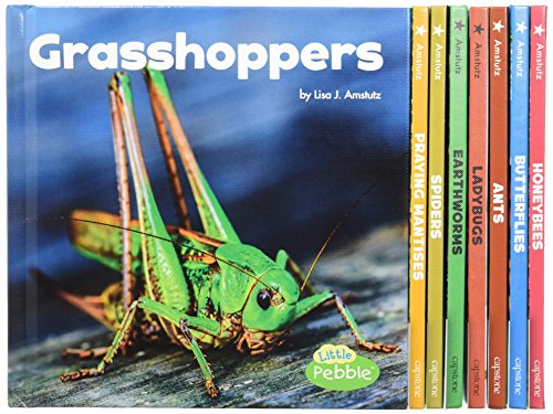 Cover of Little Critters