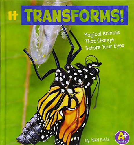 Cover of It Transforms!