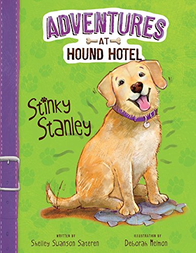 Cover of Stinky Stanley