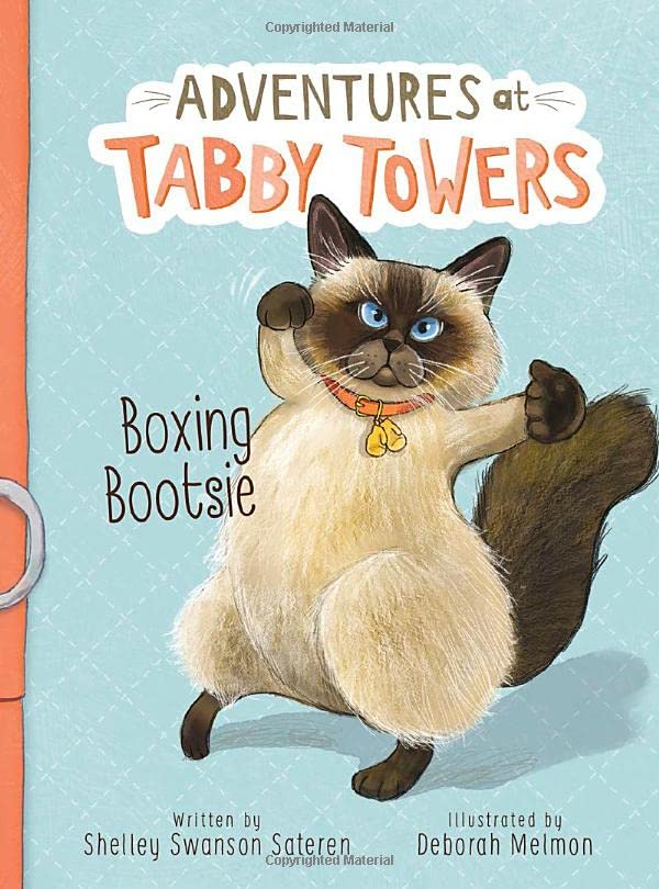 Cover of Boxing Bootsie