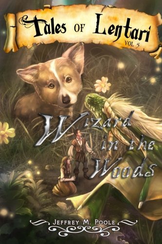 Wizard in the Woods book cover