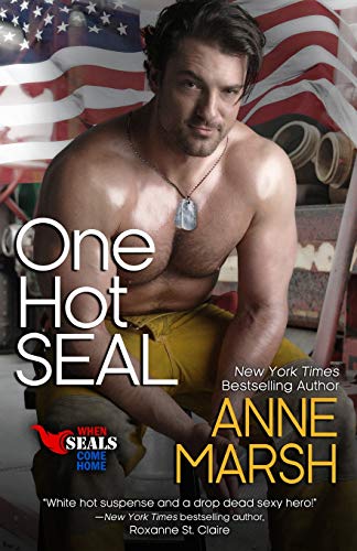 One Hot SEAL book cover
